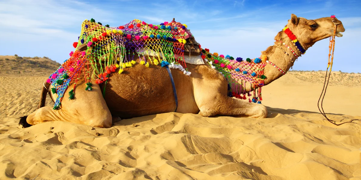 One Day Bikaner Tour Package